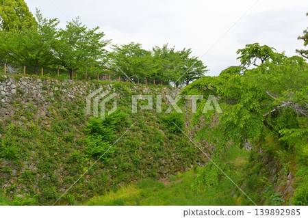 奈良郡山城 奈良郡山城 139892985