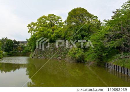 奈良郡山城 奈良郡山城 139892989