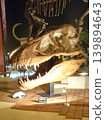 Ancient rulers, the awe-inspiring skulls of dinosaurs. Encounter the overwhelming scale and mysterious breath of history at the museum. 139894643