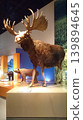 Encountering the breath of nature in a museum. A vibrant display featuring stuffed moose and bears side by side. 139894645