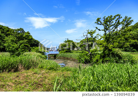 小次郎森林的初夏 139894839