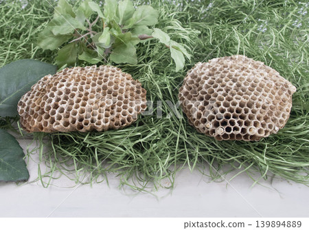 Old beehive, nest building, bees, honeycomb structure, gardening Old beehive, nest building, bees, honeycomb structure, gardening 139894889