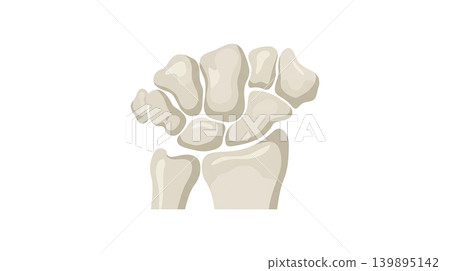 Small Carpal Bones of Human Wrist Joint Small Carpal Bones of Human Wrist Joint 139895142