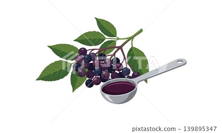 Dark Purple Elderberry Cluster and Silver Spoon With Syrup Dark Purple Elderberry Cluster and Silver Spoon With Syrup 139895347