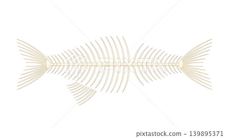 Delicate Fish Skeleton with Thin Spine and Ribs Delicate Fish Skeleton with Thin Spine and Ribs 139895371
