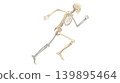 Running Human Skeleton Showing Biomechanics 139895464