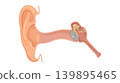 Ear Cross Section With Pink Canal and Eardrum Icon 139895465