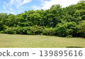 公園與綠色 139895616