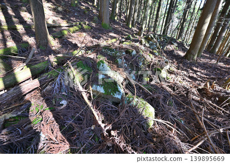 甲斐國本棲城:武田信玄的前線山城 甲斐國本棲城:武田信玄的前線山城 139895669