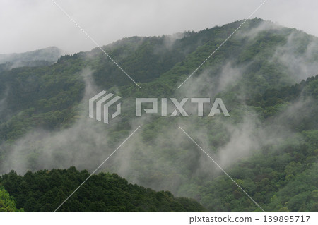Fog wrapped in fog Fog wrapped in fog 139895717