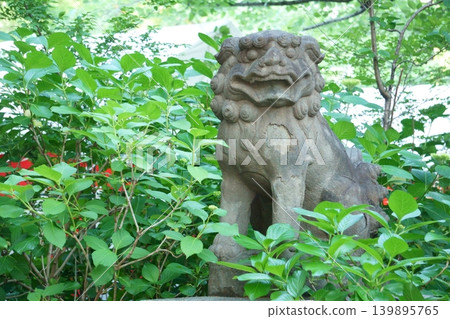 若宮八幡神社的狛犬(守護獅犬)被綠植環繞 若宮八幡神社的狛犬(守護獅犬)被綠植環繞 139895765