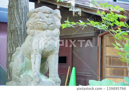 狛犬(閉嘴的守護獅犬)-若宮八幡神社 狛犬(閉嘴的守護獅犬)-若宮八幡神社 139895766