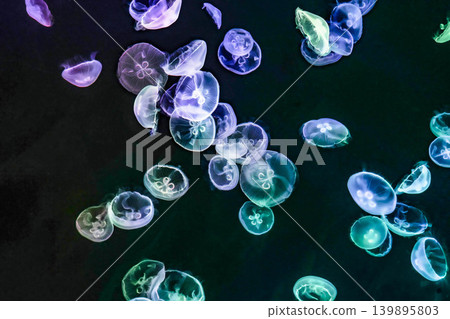 海洋生物（水母）與漂浮在外太空的影像 139895803