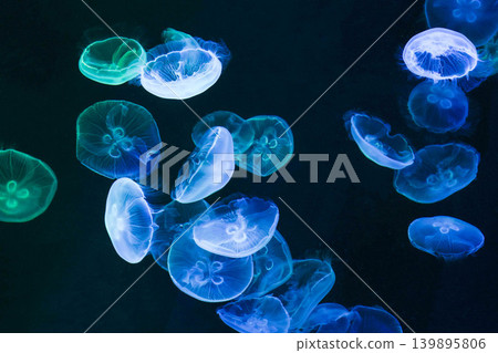 一張海洋生物(水母)漂浮在外太空的畫面。 一張海洋生物(水母)漂浮在外太空的畫面。 139895806