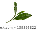Tea leaves 139895822