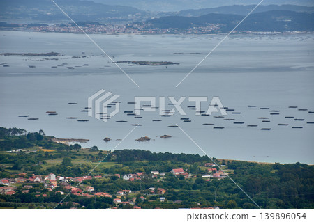 Coastal landscape of the Arousa estuary showing its mussel rafts from the Mirador da Curota viewpoint in Ribeira 139896054