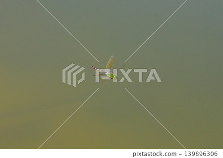 Hovering of Gin Yama Hovering of Gin Yama 139896306