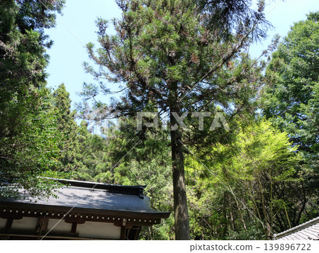 Igawa Shrine, near Igawa Dam, on a sunny day in April. Igawa Shrine, near Igawa Dam, on a sunny day in April. 139896722