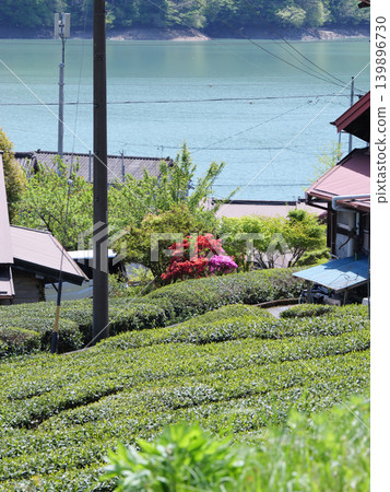 Igawa Dam, Igawa Lake, Oi River, sunny day in April, view from the mountains Igawa Dam, Igawa Lake, Oi River, sunny day in April, view from the mountains 139896730