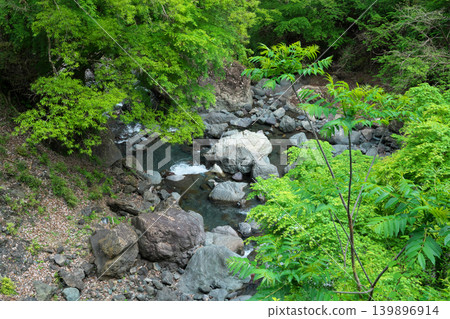 Garyu Bridge, Nishikawachi River, Gongen Falls, a sunny day in April Garyu Bridge, Nishikawachi River, Gongen Falls, a sunny day in April 139896914
