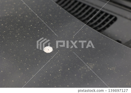汽車引擎蓋上的鳥糞 139897127