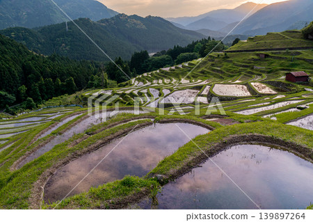 Maruyama Senmaida rice terraces, shining in the setting sun, Kumano City, Mie Prefecture 139897264