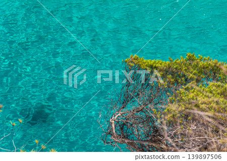 Vegetation close to turquoise waters. 139897506