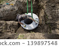 A worker lowers a concrete round structure into a hole at a construction site during daytime. Tools and dirt are present around the worker 139897548