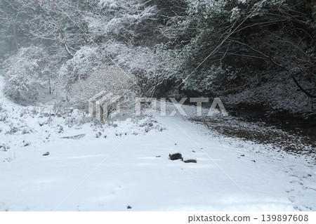 下雪的森林 139897608