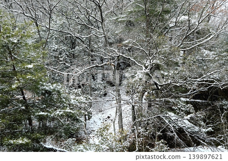 Snowing Forest Snowing Forest 139897621