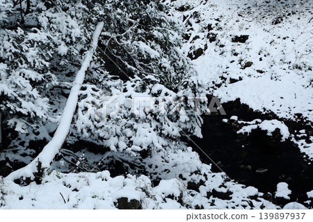 河被雪覆蓋 河被雪覆蓋 139897937