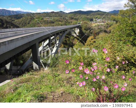 Tenryukyo Bridge and cosmos flowers Tenryukyo Bridge and cosmos flowers 139897941