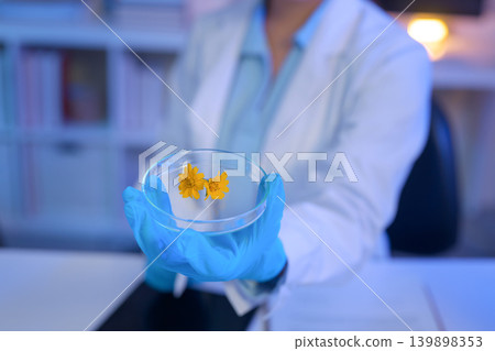 Scientist holds a petri dish with yellow flowers, symbolizing botanical research, natural compounds, and scientific study in a laboratory. Scientist holds a petri dish with yellow flowers, symbolizing botanical research, natural compounds, and scientific study in a laboratory. 139898353