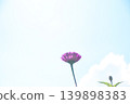 A single flower blooming in the blue sky 139898383
