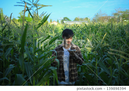 Farmer using smartphone in corn field Farmer using smartphone in corn field 139898394