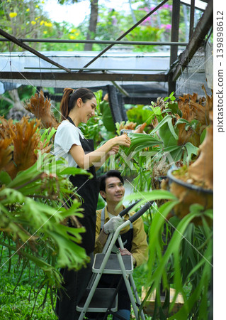 Female gardener checking staghorn fern, showing care, attention, and plant maintenance Female gardener checking staghorn fern, showing care, attention, and plant maintenance 139898612