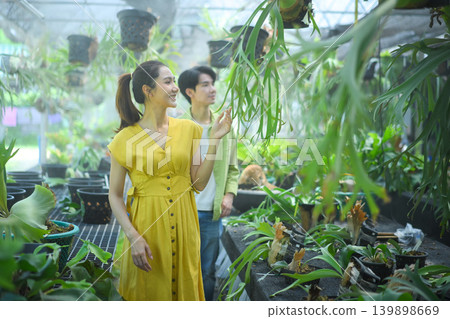 Couple choosing staghorn fern plants in farm nursery Couple choosing staghorn fern plants in farm nursery 139898669