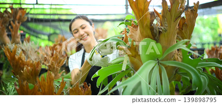 Female gardener pruning staghorn fern in nursery 139898795