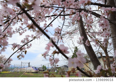 櫻花的風景 櫻花的風景 139899018