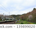 Local line landscape 139899020
