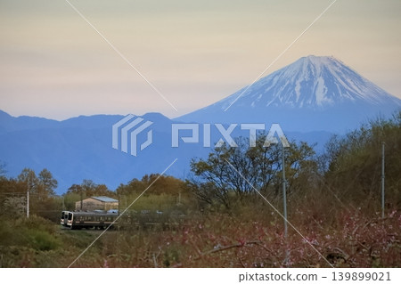 黃昏時分,一列當地火車穿過風景如畫的田園風光,富士山巍峨聳立在遠處。 黃昏時分,一列當地火車穿過風景如畫的田園風光,富士山巍峨聳立在遠處。 139899021