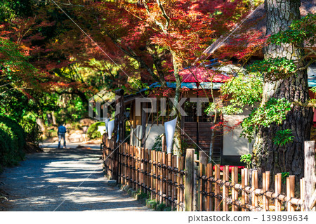 【特別名勝】栗林庭園，晚秋景色：紅葉與寒蟬亭1，香川縣高松市 139899634