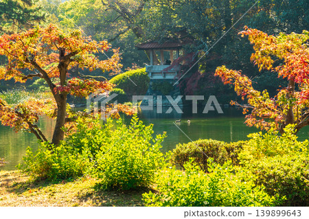 [Special Place of Scenic Beauty] Ritsurin Garden: Late Autumn Scenery - Gunkamo Pond and Kankamo Pavilion, Takamatsu City, Kagawa Prefecture 139899643