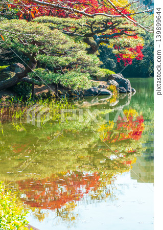 [Special Place of Scenic Beauty] Ritsurin Garden: Late Autumn Scenery - Duck Pond and Autumn Leaves 1, Takamatsu City, Kagawa Prefecture 139899644