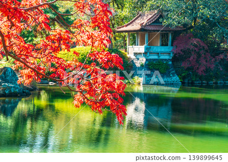 【特別名勝】栗林庭園,晚秋景色:秋葉與鴨閣景色(1),香川縣高松市 【特別名勝】栗林庭園,晚秋景色:秋葉與鴨閣景色(1),香川縣高松市 139899645