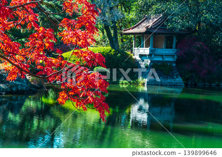 [Special Place of Scenic Beauty] Ritsurin Garden: Late Autumn Scenery - Autumn Leaves and the View of the Kamo Pavilion (Part 3) - Takamatsu City, Kagawa Prefecture 139899646