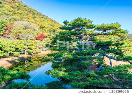 [Special Place of Scenic Beauty] Ritsurin Garden: Late Autumn Scenery - North Lake and Houyu Island 2, Takamatsu City, Kagawa Prefecture 139899656