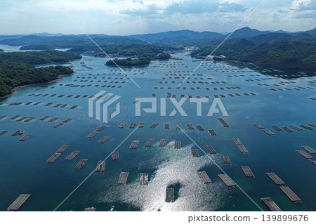 從空中俯瞰瀨戶內海,可以看到瀨戶內市奧町蟲名地區散佈著牡蠣養殖筏。 從空中俯瞰瀨戶內海,可以看到瀨戶內市奧町蟲名地區散佈著牡蠣養殖筏。 139899676