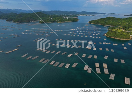 空拍照片，俯瞰岡山縣瀨戶內市奧久町蟲名橫跨瀨戶內海的牡蠣筏。 139899689