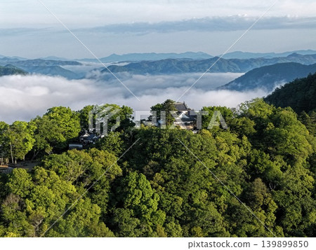清晨的空拍照片，展現了岡山縣高橋市的備中松山城和一片雲海。 139899850